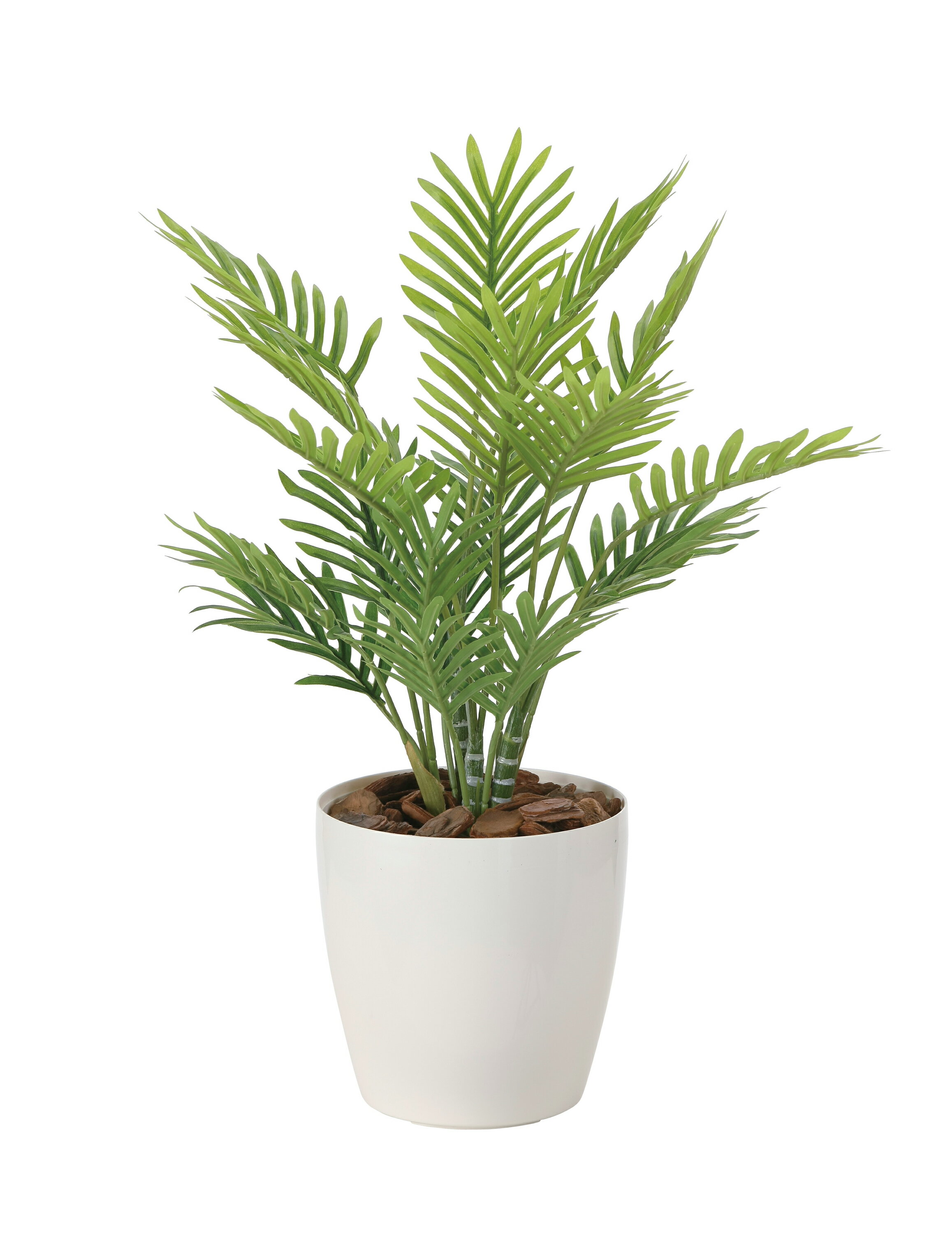 商品詳細 商品サイズ 約幅32×奥行き32×高さ48cm 重量 750g 本体素材 ポリエチレン+EVA 花器素材 ポリプロピレンフレッシュパーム