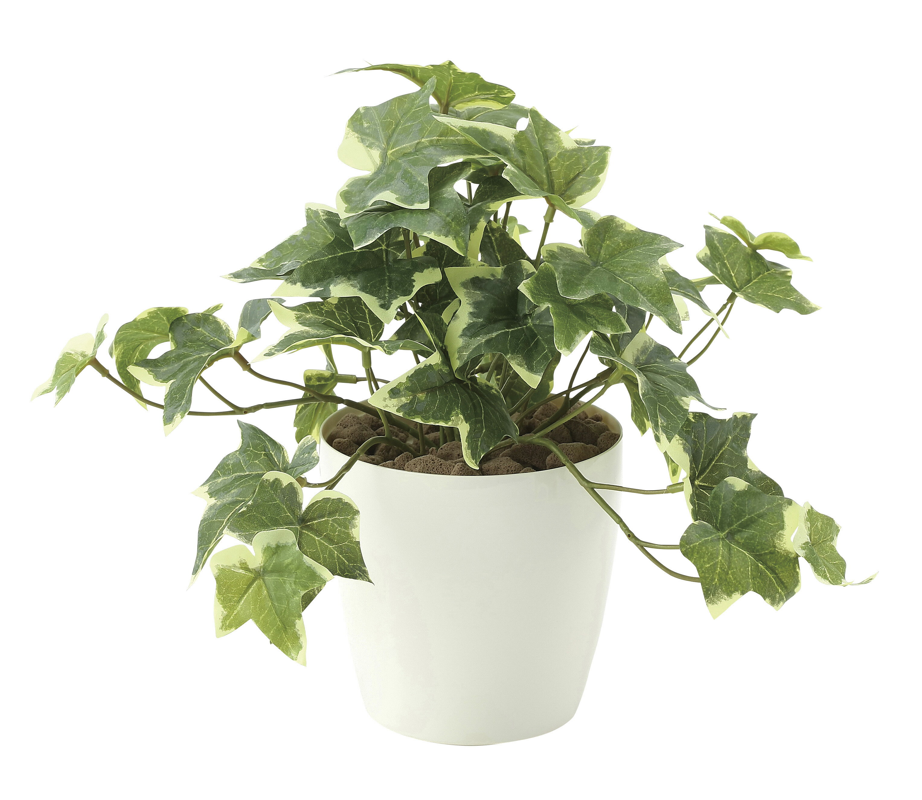 商品詳細 商品サイズ 約幅30×奥行き30×高さ25cm 重量 420g 本体素材 ポリエチレン+EVA 花器素材 ポリプロピレン