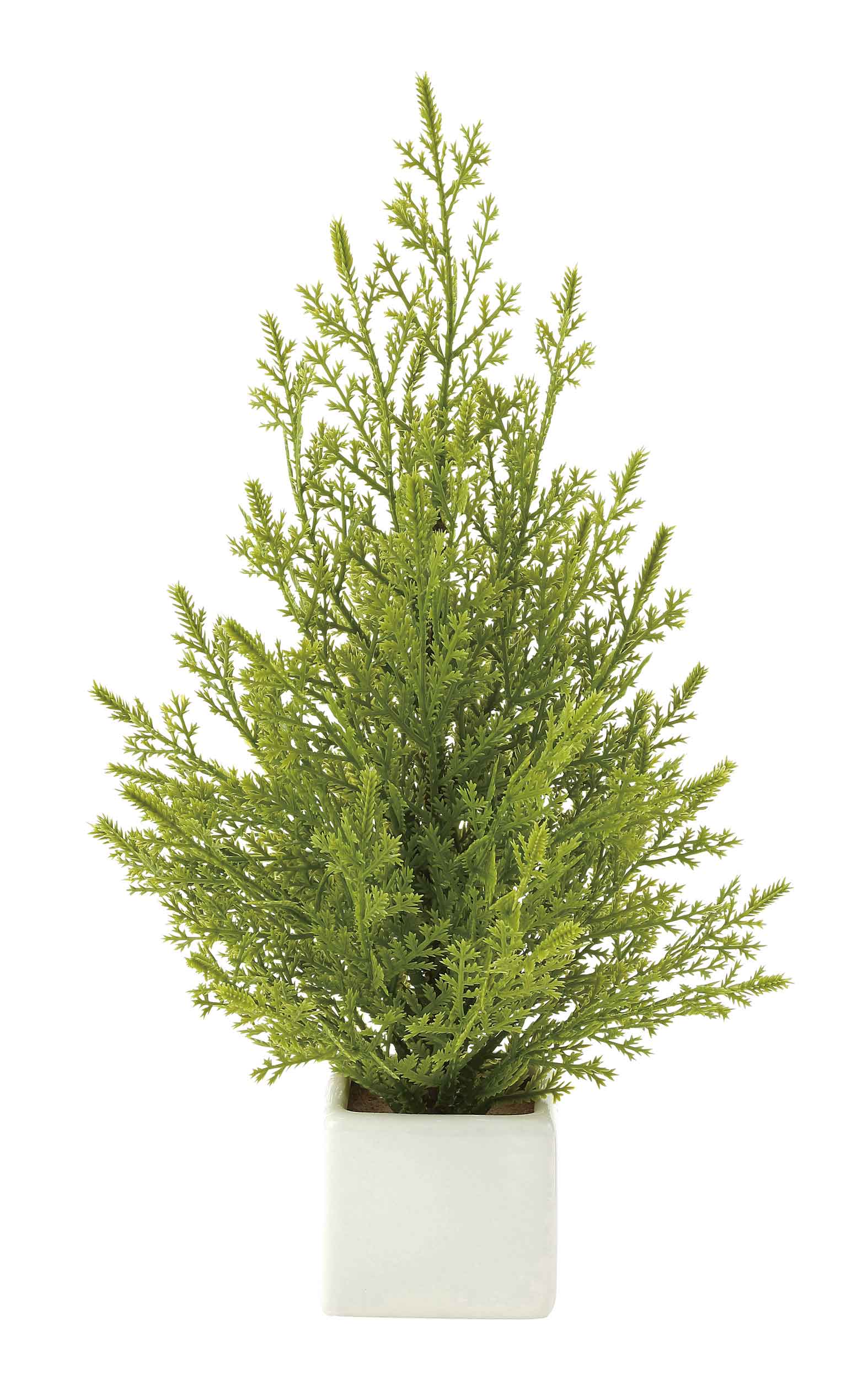 ミニゴールドクレスト（ポリ製） 人工観葉植物 造花 光触媒 業務用 施設 オフィス 店舗 室内 装飾 フェイク グリーン リアル 飾りテーブルタイプ グリーンシリーズ ナチュラル感 リラックス 癒し 消臭 抗菌 防汚 アートグリーン