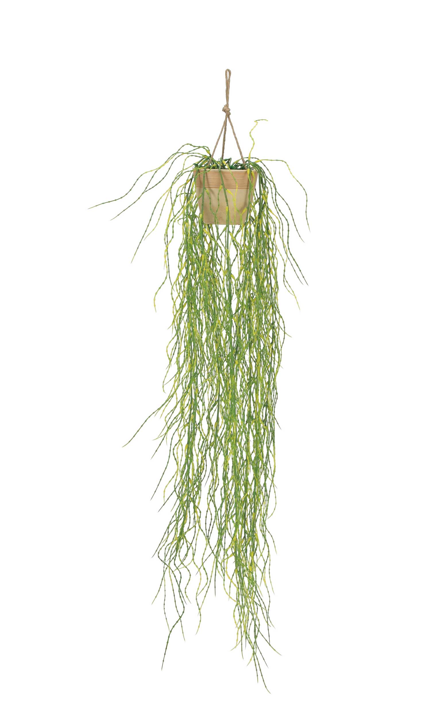 乐天商城 - ウォーターグラスハンガー（ポリ製） 人工観葉植物 造花 光触媒 業務用 施設 オフィス 店舗 室内 装飾 フェイク グリーン リアル 飾り 壁掛けタイプ グリーンシリーズ ナチュラル感 リラックス 癒し 消臭 抗菌 防汚 アートグリーン