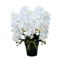 ロイヤル胡蝶蘭5本立W 光触媒 造花 フェイクグリーン 人工観葉植物 アートフラワー フラワーアレンジメント 母の日 ギフト 贈り物 プレゼント 花 お手入れ不...