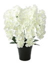 プレミアム胡蝶蘭 7本立W 光触媒 フェイクグリーン 造花 人工観葉植物 開店祝い 新築祝い ギフト 贈り物 プレゼント インテリア おしゃれ 高級感 アートフ...
