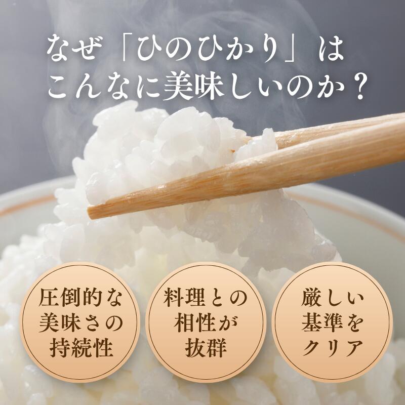 令和7年産 福岡県産 金のめし丸 ひのひかり 5kg 10kg 20kg morimitsu-10000005 お米の森光商店 サンプル画像2