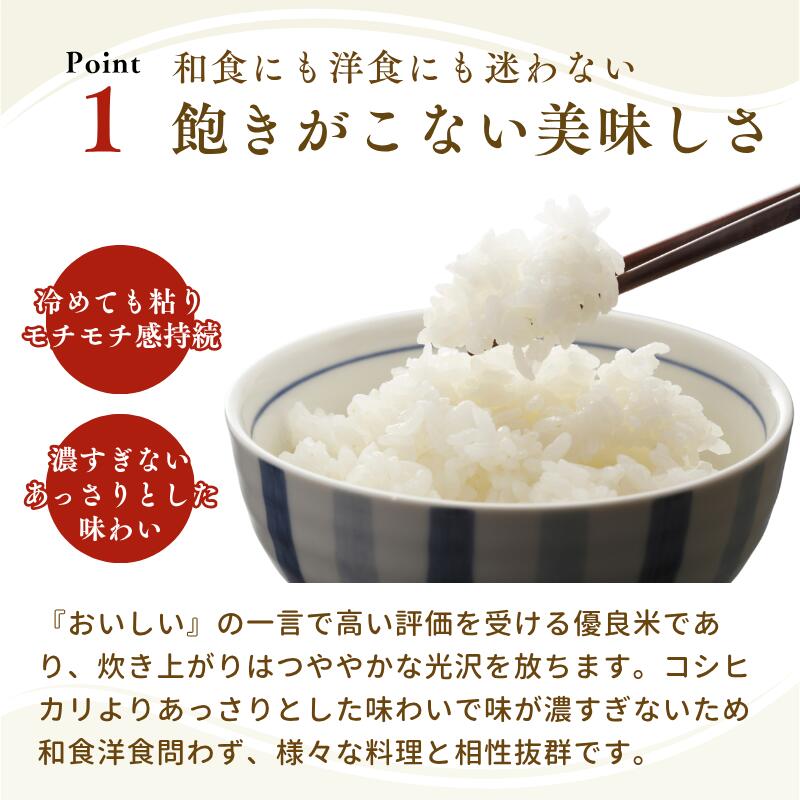 令和7年産 福岡県産 金のめし丸 ひのひかり 5kg 10kg 20kg morimitsu-10000005 お米の森光商店 サンプル画像3
