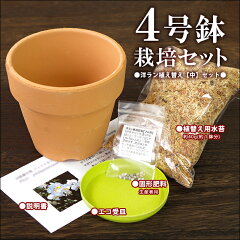 https://thumbnail.image.rakuten.co.jp/@0_mall/morimizuki/cabinet/01192780/hachi-set04t.jpg