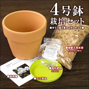 洋蘭栽培プロ用資材 『洋ラン「植え替え【大セット】」（素焼き鉢4号 水苔 肥料 受け皿）』【材】(st)洋ラン資材スタンダードなデザインのシンプルなテラコッタポット　洋蘭栽培に一番最適な鉢はやっぱり素焼鉢！植え替え用に是非！植木鉢 鉢植え 深型