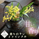 洋蘭ギフト 花 喜ばれる!香りと可愛らしさに癒される洋ラン『...