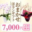 『洋蘭ギフト☆☆☆☆』 おまかせ7000 楽天年間ランキング連続受賞 フラワーギフトに迷ったらおまかせ洋ラン鉢植え花ギフト 鉢花 お祝い 誕生日 お供え 胡蝶蘭 ミディ胡蝶蘭 カトレア シンビジューム オンシジューム 森水木のラン屋さん アレンジメント
