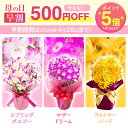 【早割500円OFF】 母の日限定ギフト『デンドロビューム「母想い」』花言葉は「思いやり」のプレゼント 楽天ショップオブザイヤー 楽天総合ランキング1位受賞 今年は黄金蘭を追加！ 森水木のラン屋さんから直送 送料無料全国へお届け 安心の説明書付き《母》【贈】