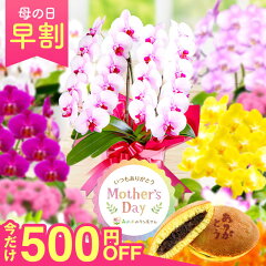 https://thumbnail.image.rakuten.co.jp/@0_mall/morimizuki/cabinet/mothersday/2024/imgrc0104402031.jpg