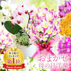 https://thumbnail.image.rakuten.co.jp/@0_mall/morimizuki/cabinet/mothersday/2024/imgrc0104486889.jpg