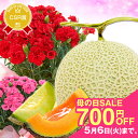 \700円OFF母の日まだ間に合う/ メロン カーネーション プレゼント ギフト 花 フルーツ『国産生花「カーネーション&熊本メロン」』 高品質!安心の国産 5...