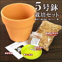 洋蘭栽培プロ用資材 『洋ラン「植え替え」（素焼き鉢5号 水苔 肥料 受け皿）』(st)洋ラン資材スタンダードなデザインのシンプルなテラコッタポット　洋蘭栽培に一番最適な鉢はやっぱり素焼鉢！植え替え用に是非！植木鉢 鉢植え 深型