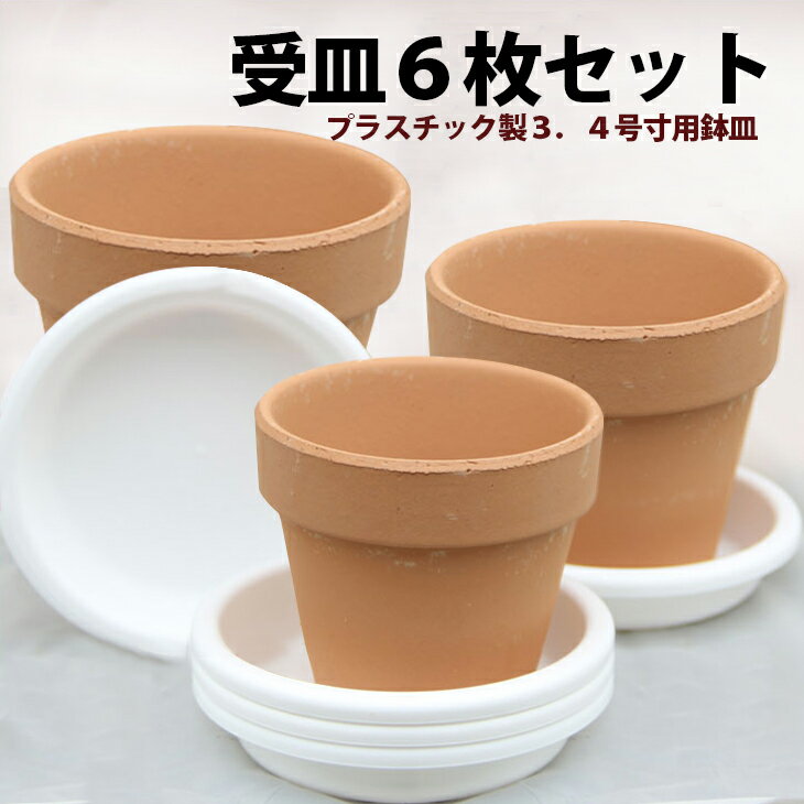 洋蘭栽培プロ用資材 『水やりに便利！「受皿6枚セット」プラスチック製3．4号寸用鉢皿』【材】(st) 植物、蘭、観葉植物、ポインセチア、シクラメンに深くて水が溢れにくいので◎！