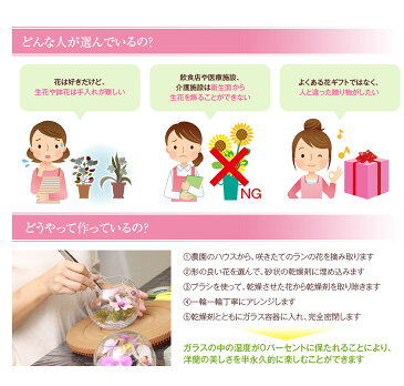 枯れない洋ランギフト 国産ボトルフラワー『森のグラスブーケ 「アクアM◆」』花 ギフト ブリザードフラワー ブリザーブドフラワー プリザーブドフラワー ガラスドーム 花 お誕生日プレゼント ホワイトデー プレゼント