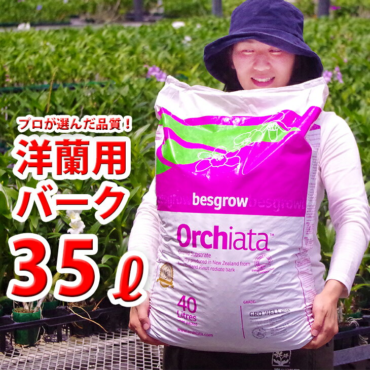 洋蘭栽培プロ用資材 たっぷりお徳用 業務用 ニュージーランド産熟成バーク35L 【材】水はけがよく 洋ランに水を多くあげすぎちゃうあなたに最適です 劣化しない最高級のNZ産バークは鉢替え時や…