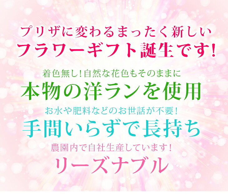 枯れない洋ランギフト！国産ボトルフラワー『森のグラスブーケ 「新お供え用スクエア」』NHK「あさイチ」で紹介！森水木のラン屋さん 送料無料お彼岸 お供え 花 お彼岸 花 お彼岸 花 1対 プリザーブドフラワー ガラスドーム 和風 敬老の日 お供え花 2