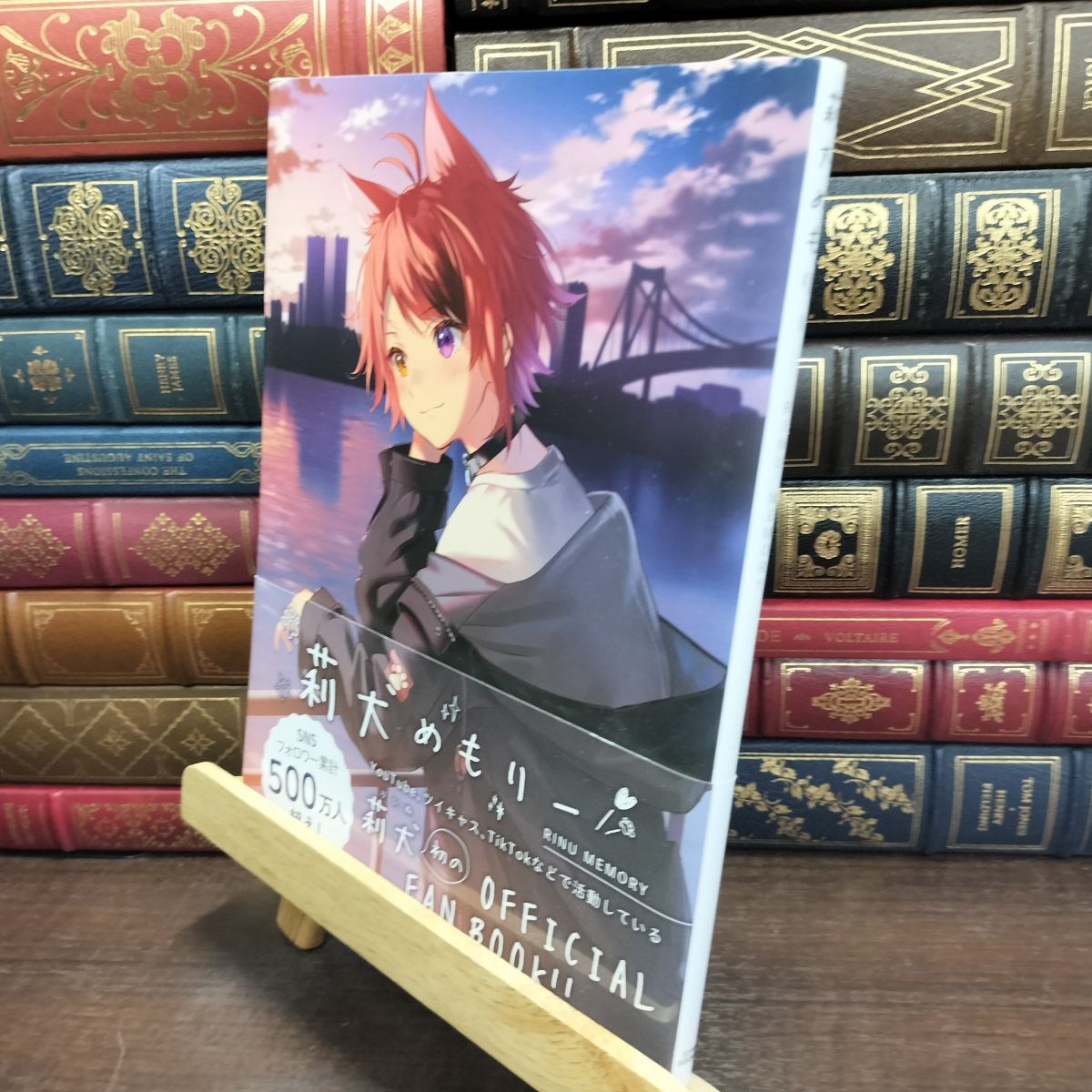 樂天商城 - 【中古】 莉犬めもりー (STPR BOOKS) 莉犬×ななもり。 230003
