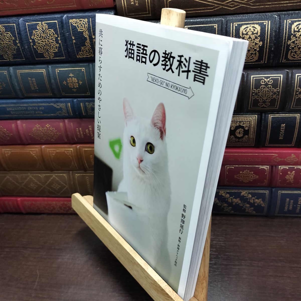 乐天商城 - 【中古】 猫語の教科書-共に暮らすためのやさしい提案 池田書店 090280