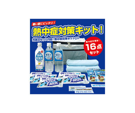 【お取り寄せ品】熱中対策キットDX BR-610【熱中症】【常備品】【予防】【運動会】【遠足】【学校】【施設】