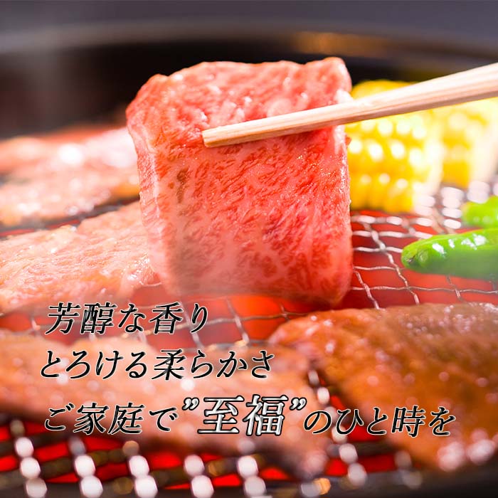 伊賀牛 バーベキューセット 2〜3人前 4種盛り / 焼肉セット 食材セット 伊賀牛カルビ 三重県産豚バラ 国産鶏もも ウインナー 送料無料 2