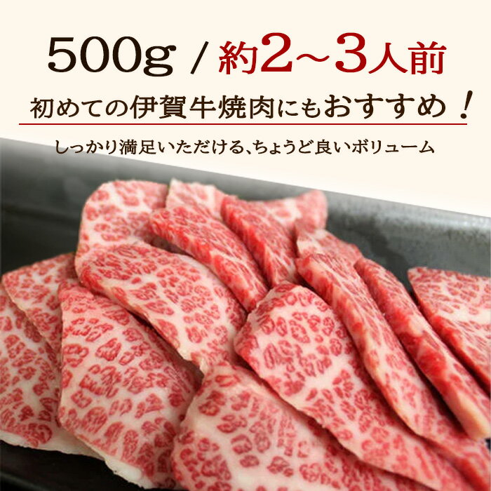 『肉の横綱』伊賀牛 程よい霜降りで濃厚な旨味ととろける様な柔らかさ　国産 黒毛和牛 【伊賀牛】新生活 入学 卒業 肉ギフト 祝い上焼肉 500g 2～3人前 三重県産 上カルビ 高級 送料無料 お歳暮 お中元 母の日 父の日 誕生日 夏ギフト 冬ギフト BBQ