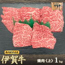 国産 黒毛和牛 【伊賀牛】上焼肉 1kg 4～6人前 三重県産 上カルビ 高級 送料無料