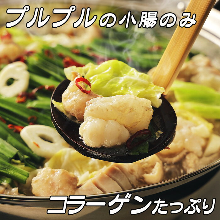 サンプル画像2