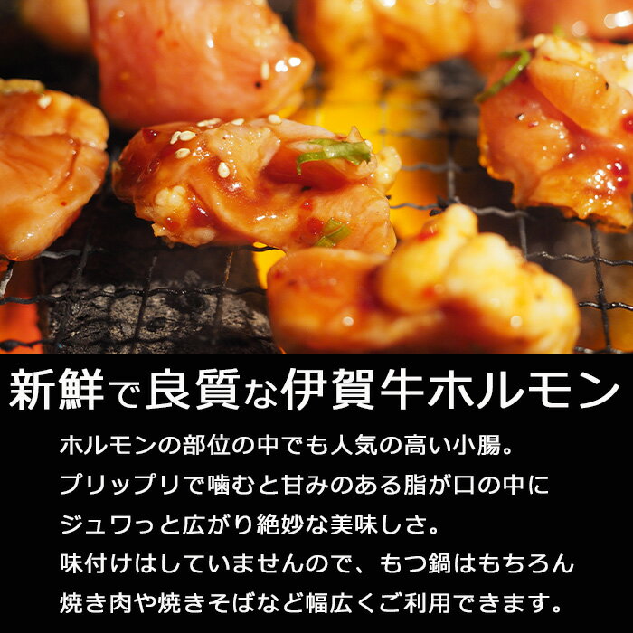 サンプル画像3