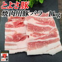 国産 豚肉 【とよさ豚】 焼肉用 豚バラ 1kg 4～6人前 三重県産 送料無料 1