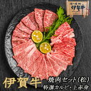 国産 黒毛和牛 食べ比べ 【伊賀牛】 焼肉セット 松 特選カルビ /上赤身 各300g 合計600g 2～3人前 高級 ギフト 三重県産 送料無料