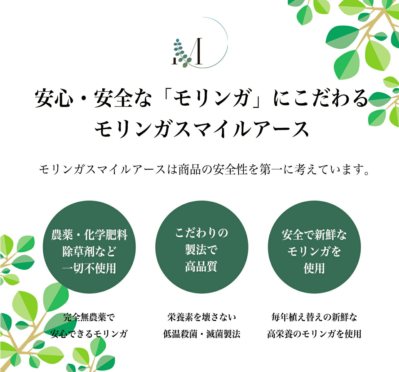 モリンガラクテック20本入り（スティックタイプ）水溶性食物繊維と生きて腸まで届く有胞子性乳酸菌を配合！（乳酸菌/デキストリン/デトックス/健康/美容） 2