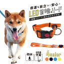 【光る首輪&リードセット】LED 首輪 犬 USB充電式 光る首輪 ペット用 散歩 夜間 虹色 レインボー 防水 軽量 おしゃれ かわいい 安全対策 小型犬 中...