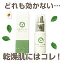 4月マラソン限定！30％OFF！モリンガオイル【楽天2位！】オーガニック 美容 おすすめ ヘアオイル 30ml バイオイル アロマ 送料無料 種 高級 保湿 化粧品 オイル ギフト 効果 使い方 ニキビ しっとり ハリ ふっくら 年齢肌 毛穴 つや スキンケア ヘアケア