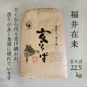 【ポイント2倍】【送料無料】令和5年産　福井県産　福井在来　