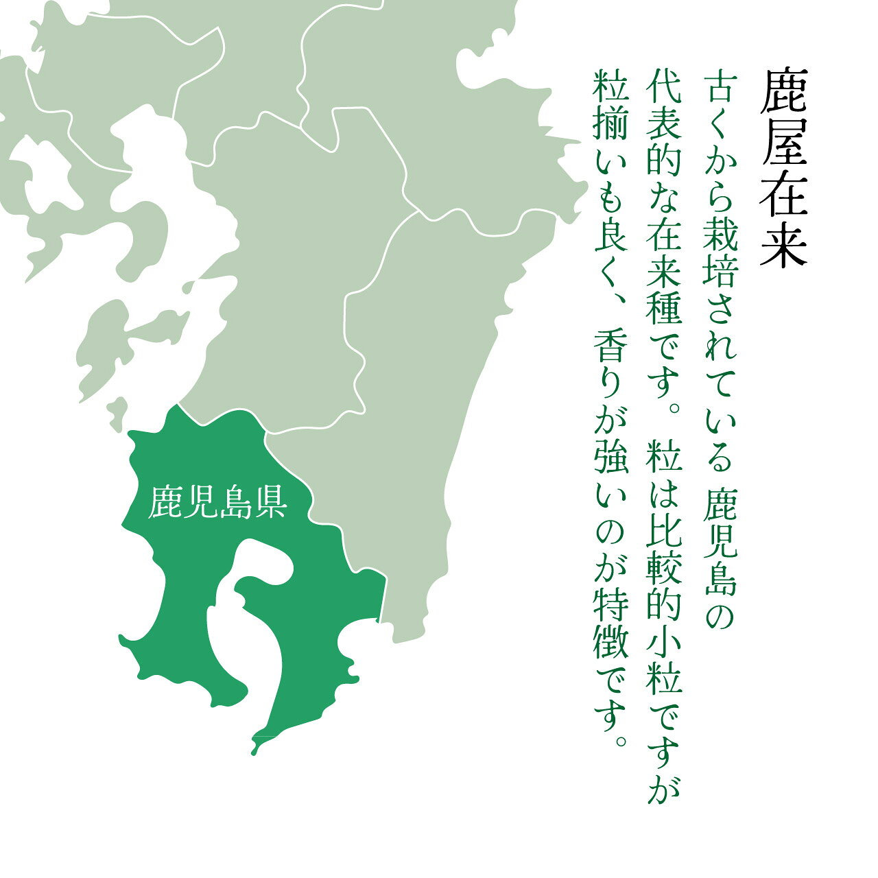【送料無料】最高峰の【鹿屋在来 鹿児島県】 石挽き一本挽き そば粉　500g~5Kg
