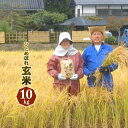 令和7年産 新米 ひとめぼれ10kg 【玄米】 送料無料 岩手県 農家直送 生産直売 ギフト 期間限定 新米