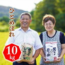 令和7年産 新米 ひとめぼれ10kg 【精白米】 送料無料 岩手県 農家直送 生産直売 ギフト 期間限定 米 白米