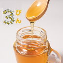 山形のはちみつ 栗 くり (3瓶セット販売) 蜂蜜 ハチミツ 100g 美味しい 国産 瓶タイプ 取っ手付き