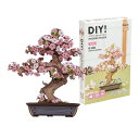 立体パズル 木製 DIY つくるんです 桜 盆栽 666421-TG415 日本語・英語説明書付き ウッドパズル 木製立体パズル 3Dウッドパズル 工作キット 組み立てキット インテリア