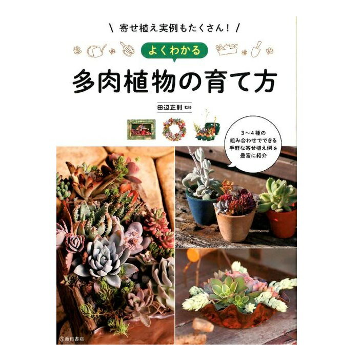 趣味の園芸の本 池田書店 寄せ植え実例もたくさん！ よくわかる多肉植物の育て方 3630-1