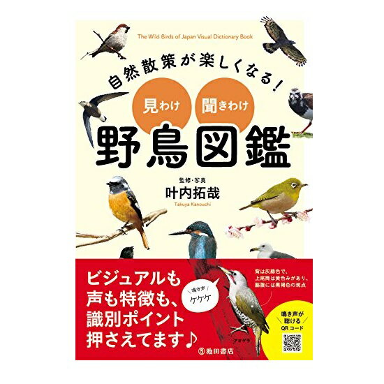 楽天森のこびとアウトドアの本 池田書店 自然散策が楽しくなる！見わけ・聞きわけ 野鳥図鑑 6756