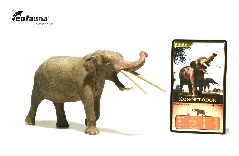 Eofauna エオファウナ コノベロドン EO008 | 1:35 古代ゾウ マンモス 古生物 恐竜フィギュア 化石 考古学