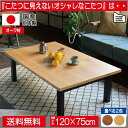 スチール風脚のオーク材を使ったオシャレな和モダン120cm幅長方形国産こたつテーブル ナチュラル色