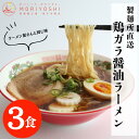 鶏ガラ醤油ラーメン ストレート細麺 本格ラーメン 大阪 簡単 アレンジ 生中華麺 ラーメン 生ラーメン 3食入 製麺所 ラーメン屋 鶏ガラスープ 美味しく お取り寄せ 人気 レシピ 生麺 醤油ラーメン ストレート 安い おすすめ 高評価 本格生ラーメン ストレート細麺 森製麺工場