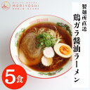 鶏がら醤油ラーメン 大阪 簡単 本格生ラーメン 生ラーメン アレンジ 5食入 製麺所 美味しく 名店 お取り寄せ 人気 レシピ 家で本格ラーメン 家庭 鶏がらラーメン 生麺 中華麺 醤油ラーメン ストレート 安い 生中華麺 おすすめ ラーメン ギフト 高評価 森製麺工場 父の日