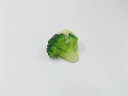 【 マグネット ブロッコリー・マヨネーズ 】 日本製 小物 食品サンプル おもしろ プレゼント かわいい おしゃれ ハンドメイド ポーチ バッグ 模型 フェイクフード フード 食べ物 パーツ 撮影 ぬい撮 ユニーク Japan 磁石|詳細画像