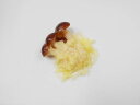 【 マグネット しめじ天 】 日本製 小物 食品サンプル おもしろ プレゼント かわいい おしゃれ ハンドメイド ポーチ バッグ 模型 フェイクフード フード ...