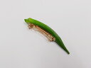【 バレッタ オクラ 】 日本製 小物 食品サンプル おもしろ プレゼント かわいい おしゃれ ハンドメイド 模型 フェイクフード フード 食べ物 パーツ 撮影...