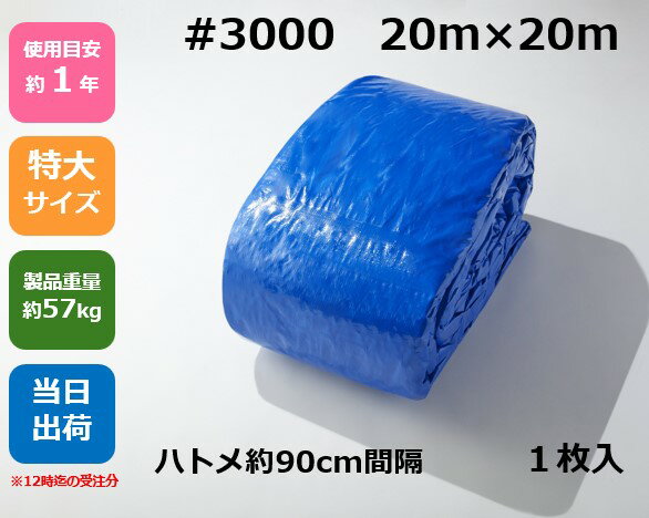 imgrc0093761788.jpg imgrc0093761788.jpg